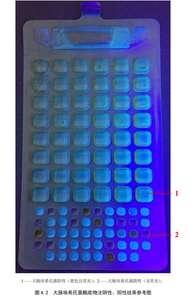 大腸埃希氏菌酶底物法陰性、陽性結(jié)果參考圖